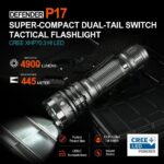 P17-DEF 2