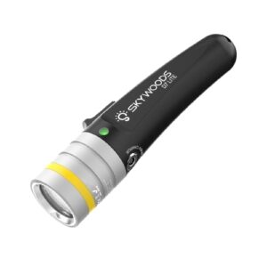 D7-LITE 1